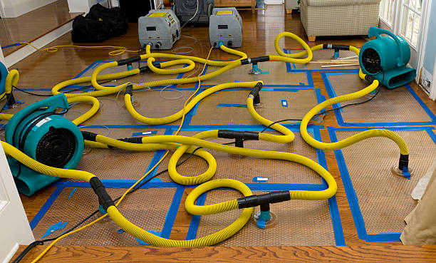 Professional Structural Drying And Dehumidification technician working in Ogden, KS